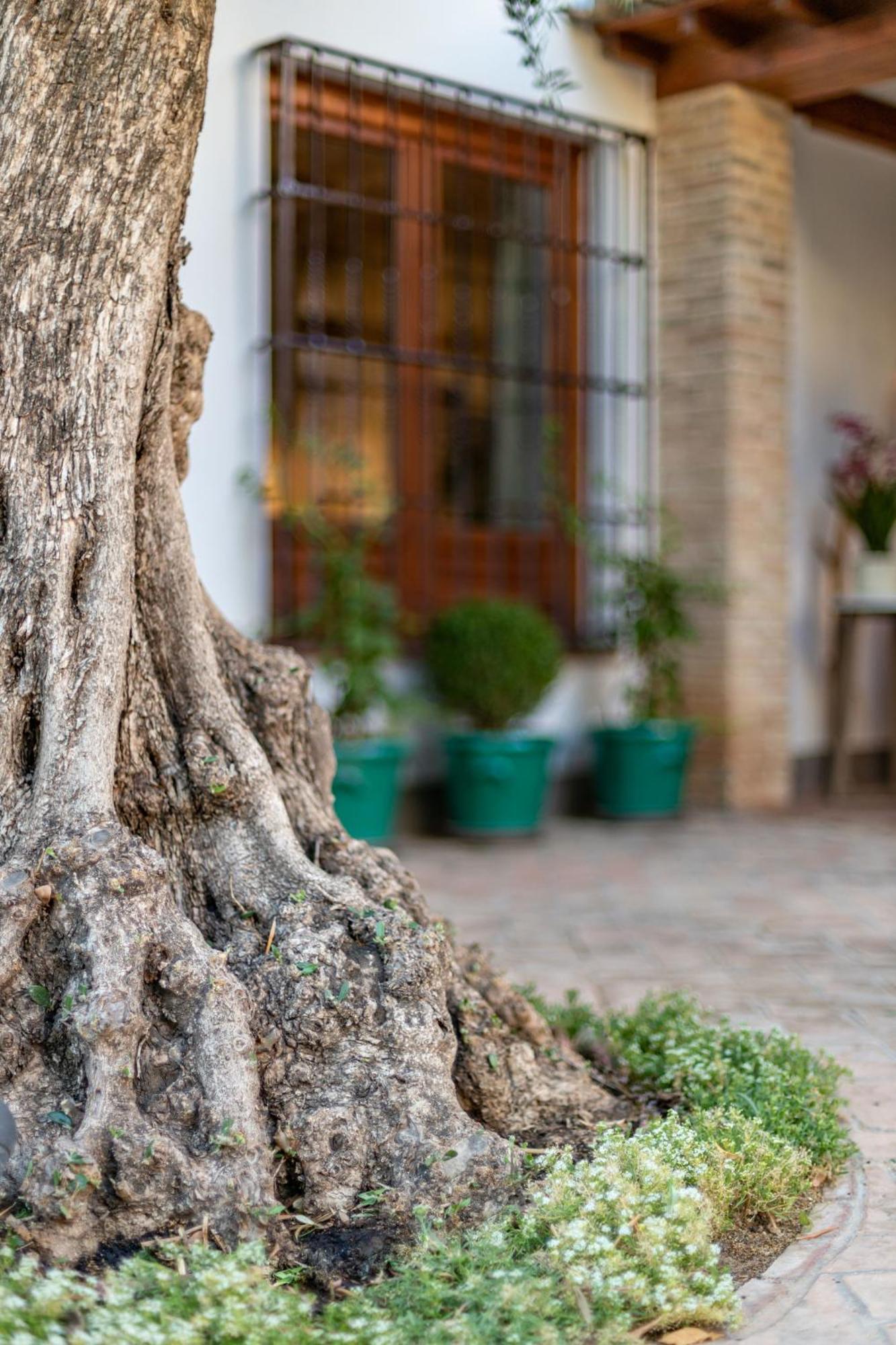 Carmen de apperley Villa Granada Bagian luar foto